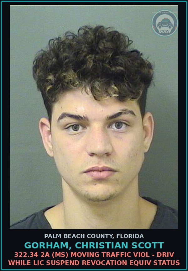 Booking mugshot of GORHAM, CHRISTIAN SCOTT in Palm Beach County