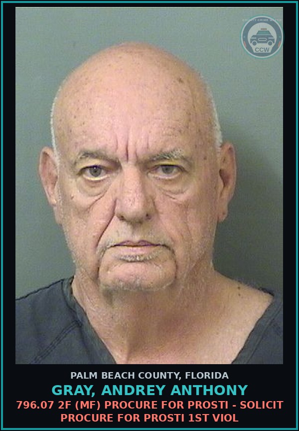 Booking mugshot of GRAY, ANDREY ANTHONY in Palm Beach County