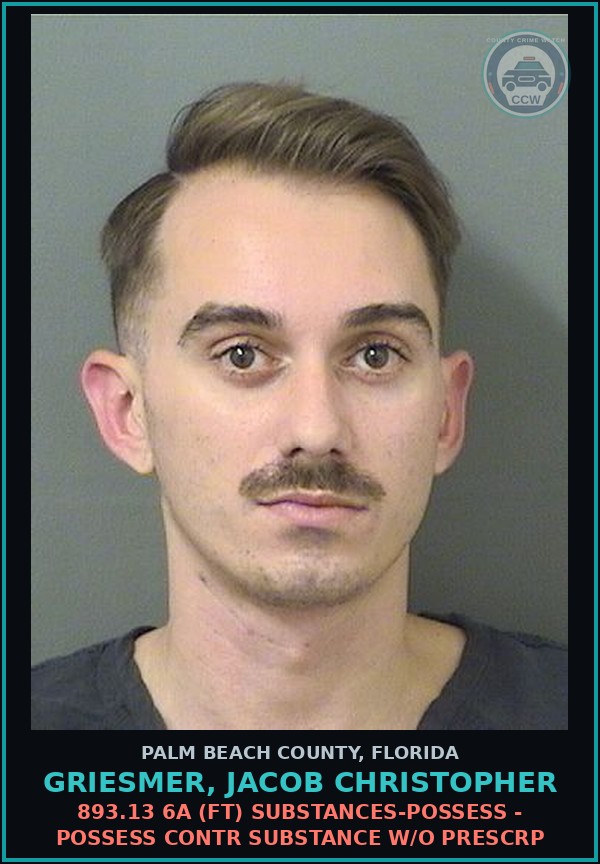 Booking mugshot of GRIESMER, JACOB CHRISTOPHER in Palm Beach County