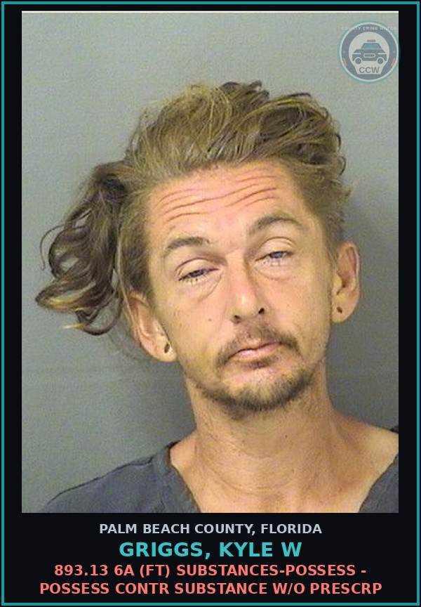 Booking mugshot of GRIGGS, KYLE W in Palm Beach County