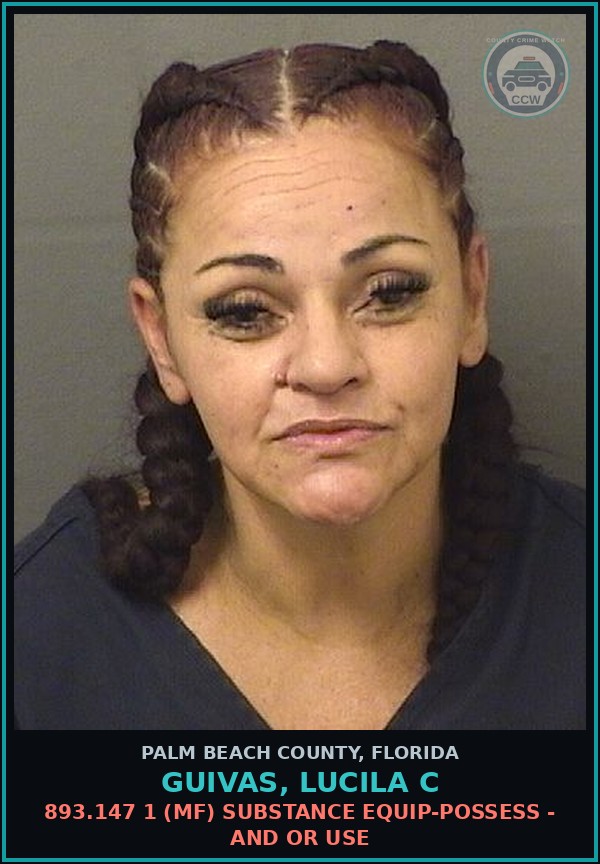 Booking mugshot of GUIVAS, LUCILA C in Palm Beach County