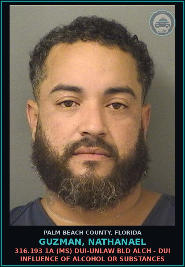 Booking mugshot of GUZMAN, NATHANAEL in Palm Beach County
