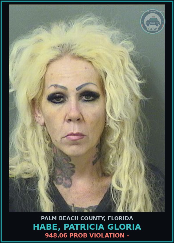Booking mugshot of HABE, PATRICIA GLORIA in Palm Beach County