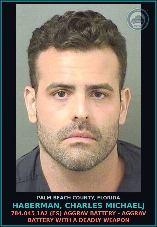 Booking mugshot of HABERMAN, CHARLES MICHAELJ in Palm Beach County