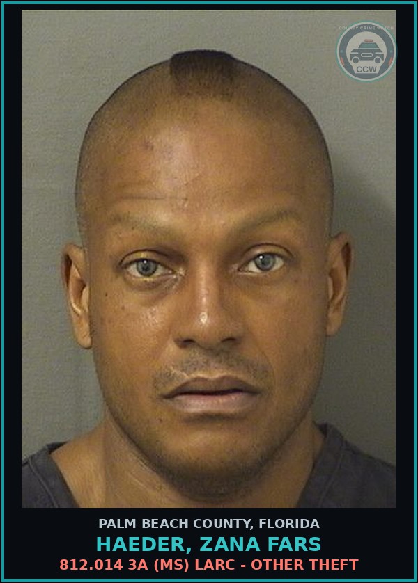 Booking mugshot of HAEDER, ZANA FARS in Palm Beach County