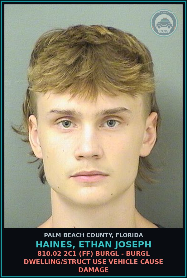 Booking mugshot of HAINES, ETHAN JOSEPH in Palm Beach County