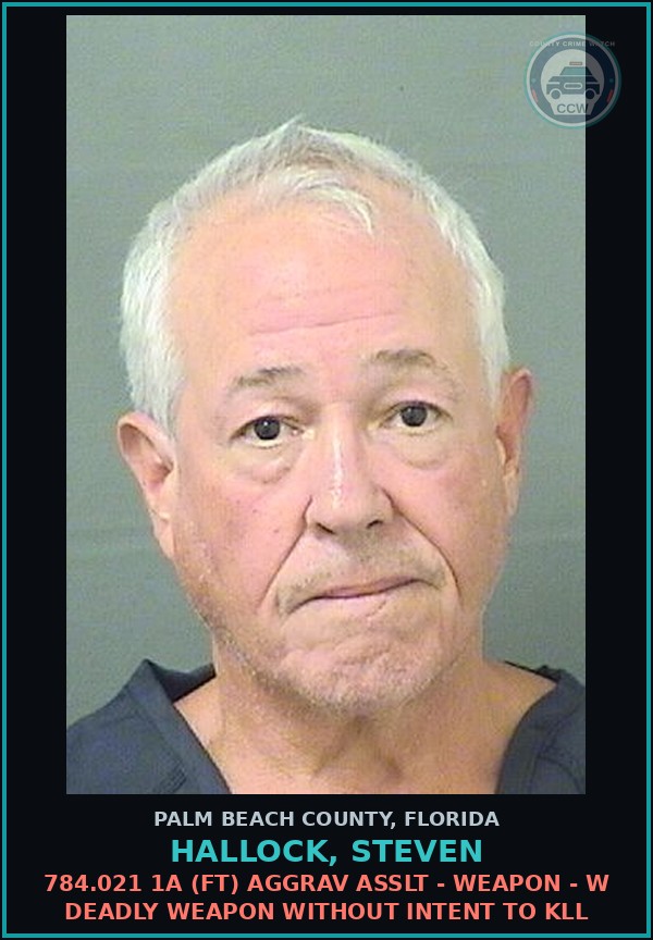 Booking mugshot of HALLOCK, STEVEN in Palm Beach County