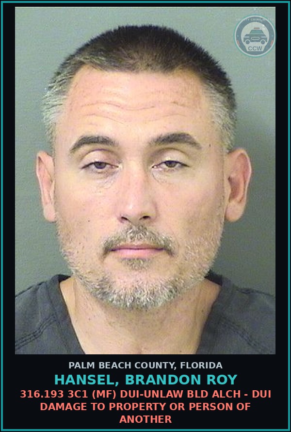 Booking mugshot of HANSEL, BRANDON ROY in Palm Beach County