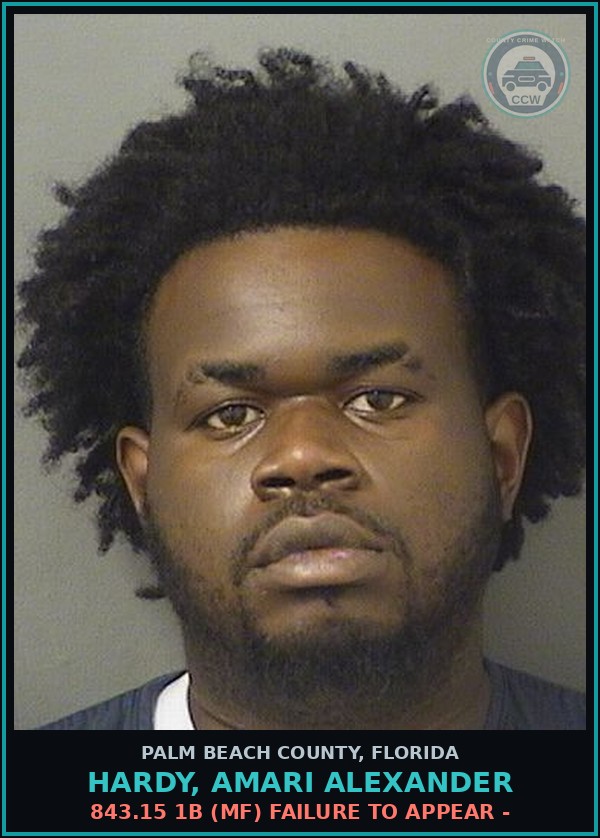 Booking mugshot of HARDY, AMARI ALEXANDER in Palm Beach County