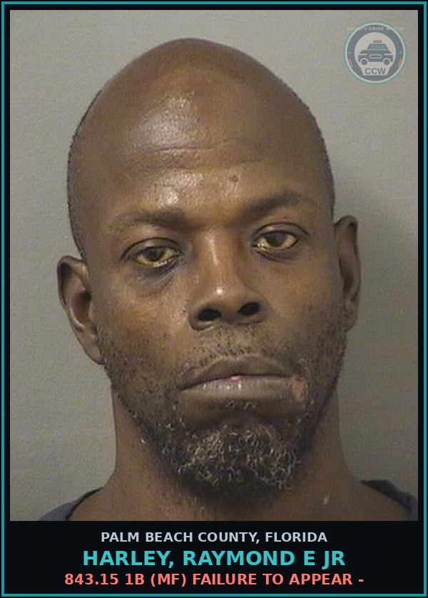 Booking mugshot of HARLEY, RAYMOND E Jr in Palm Beach County