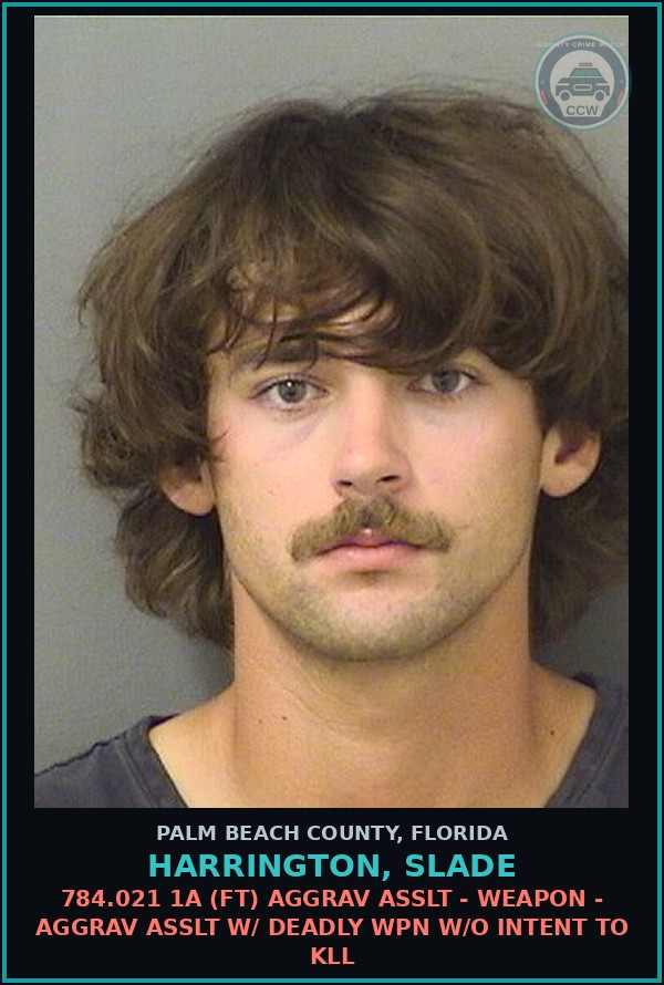 Booking mugshot of HARRINGTON, SLADE in Palm Beach County