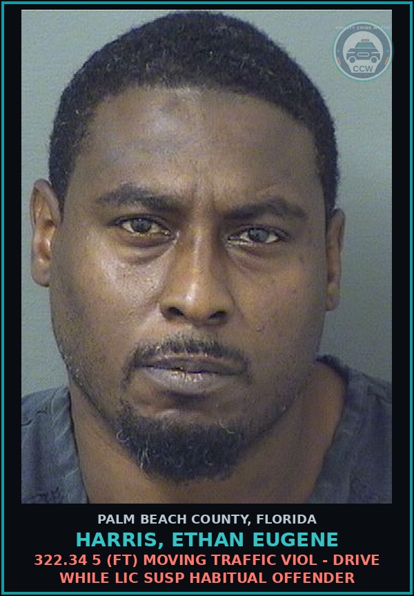 Booking mugshot of HARRIS, ETHAN EUGENE in Palm Beach County