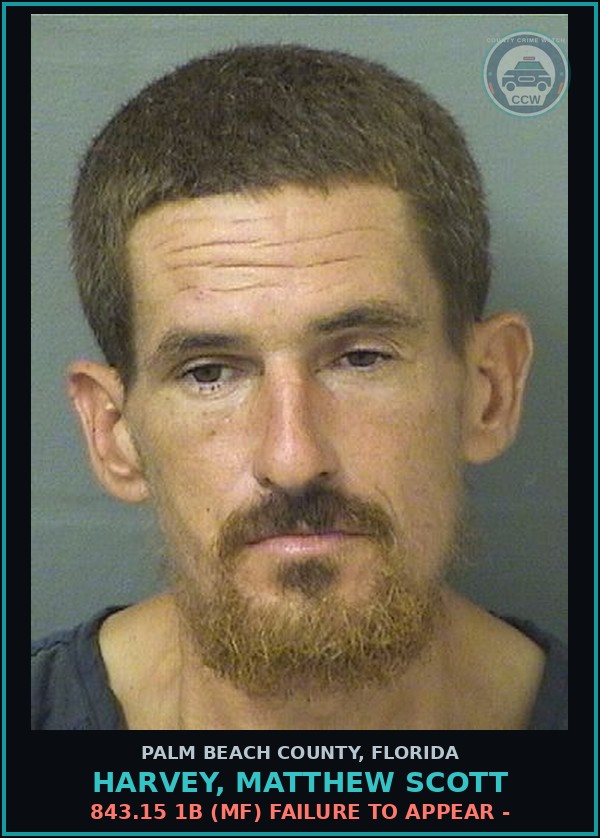 Booking mugshot of HARVEY, MATTHEW SCOTT in Palm Beach County