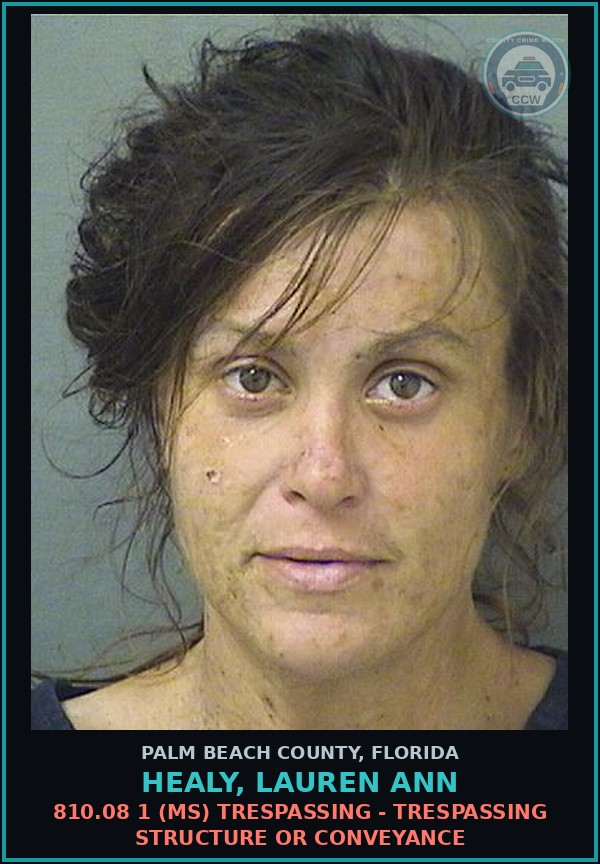 Booking mugshot of HEALY, LAUREN ANN in Palm Beach County