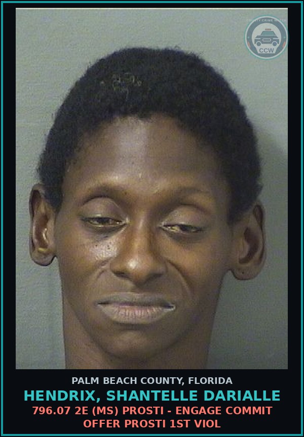 Booking mugshot of HENDRIX, SHANTELLE DARIALLE in Palm Beach County