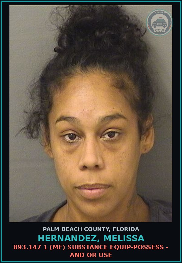 Booking mugshot of HERNANDEZ, MELISSA in Palm Beach County