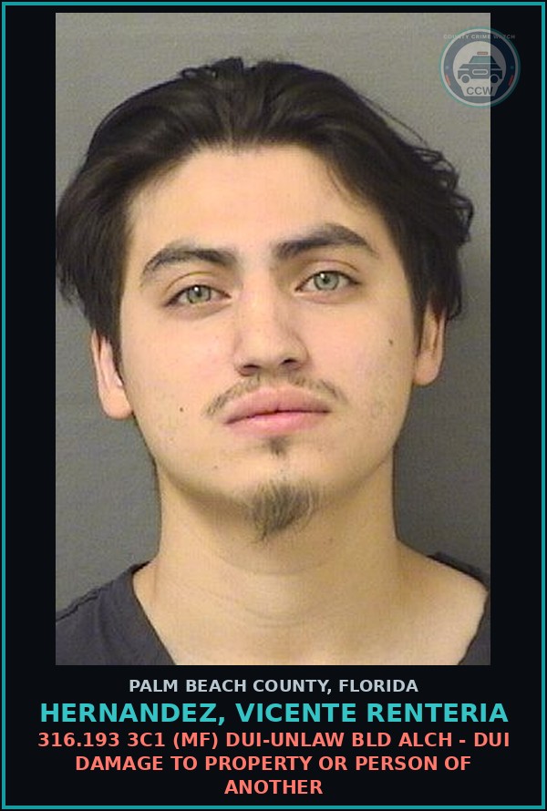 Booking mugshot of HERNANDEZ, VICENTE RENTERIA in Palm Beach County