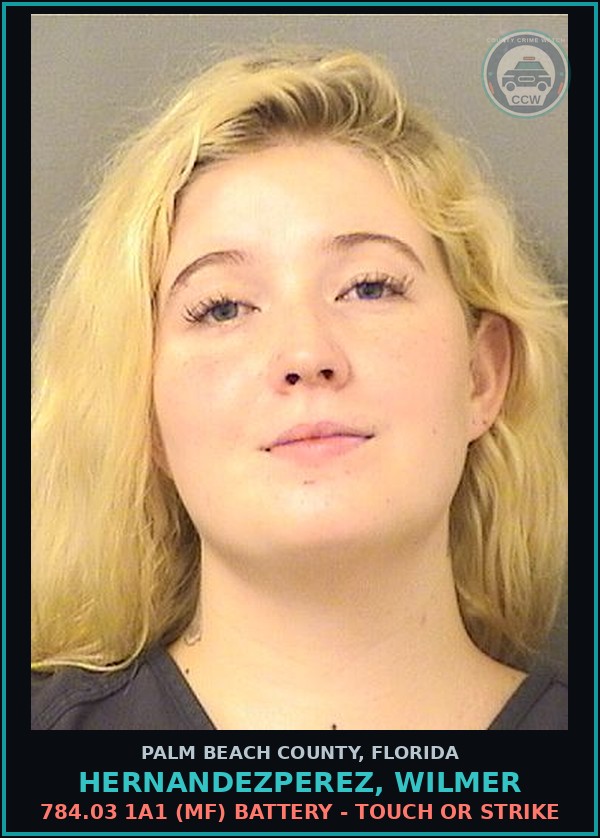 Booking mugshot of HERNANDEZPEREZ, WILMER in Palm Beach County