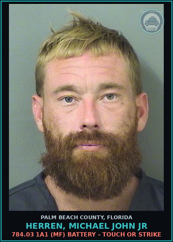 Booking mugshot of HERREN, MICHAEL JOHN Jr in Palm Beach County