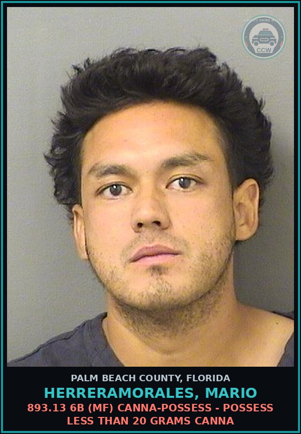Booking mugshot of HERRERAMORALES, MARIO in Palm Beach County