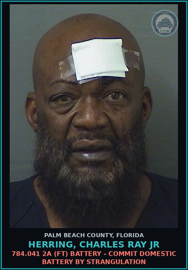 Booking mugshot of HERRING, CHARLES RAY Jr in Palm Beach County