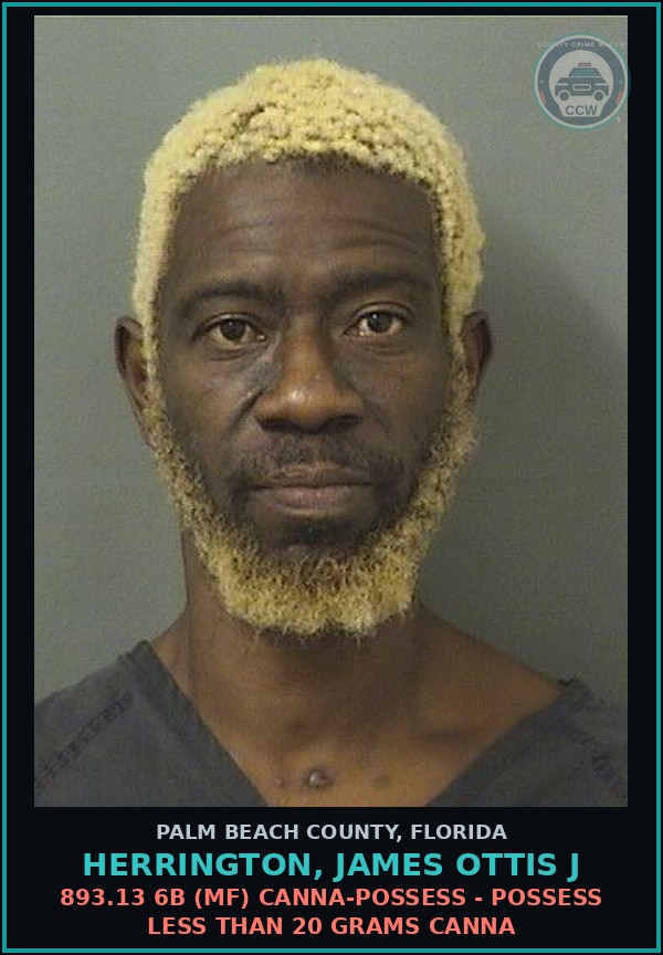 Booking mugshot of HERRINGTON, JAMES OTTIS J in Palm Beach County