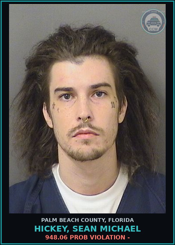 Booking mugshot of HICKEY, SEAN MICHAEL in Palm Beach County