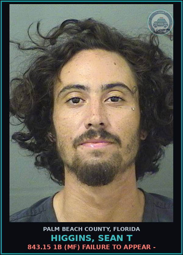 Booking mugshot of HIGGINS, SEAN T in Palm Beach County