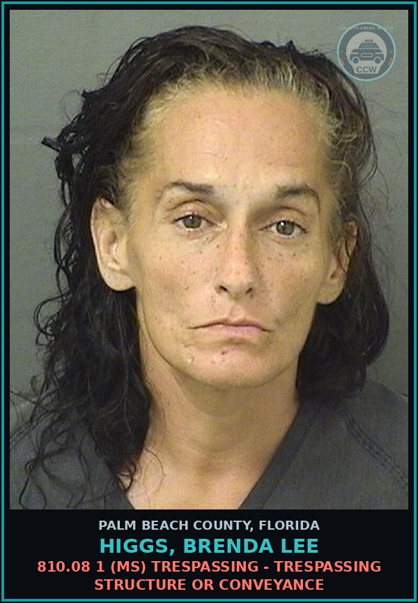 Booking mugshot of HIGGS, BRENDA LEE in Palm Beach County