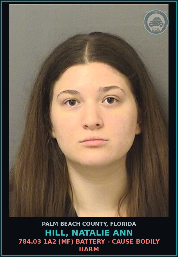 Booking mugshot of HILL, NATALIE ANN in Palm Beach County