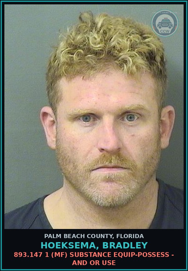 Booking mugshot of HOEKSEMA, BRADLEY in Palm Beach County