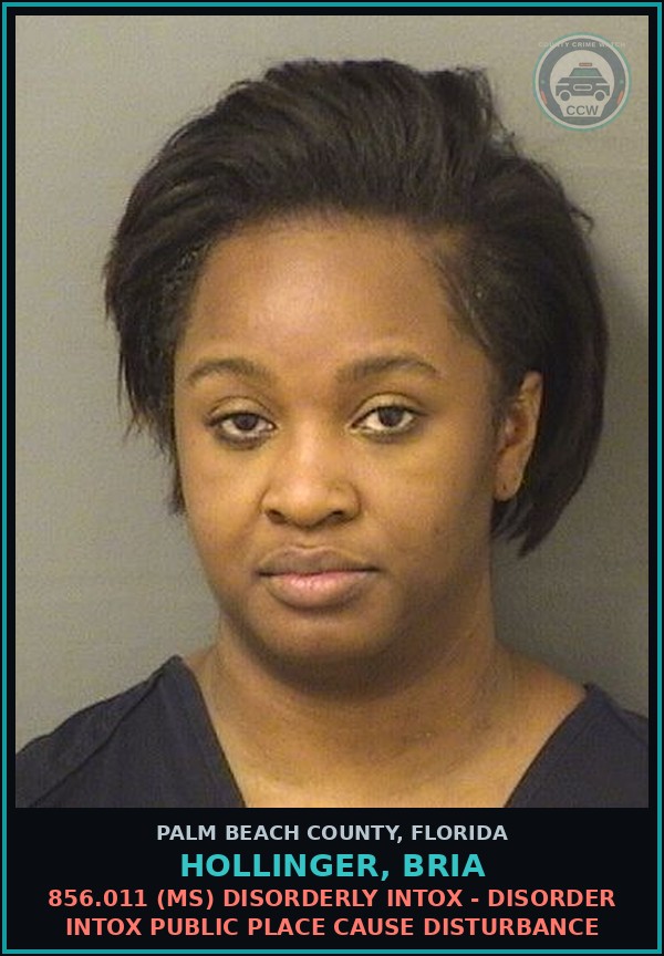Booking mugshot of HOLLINGER, BRIA in Palm Beach County