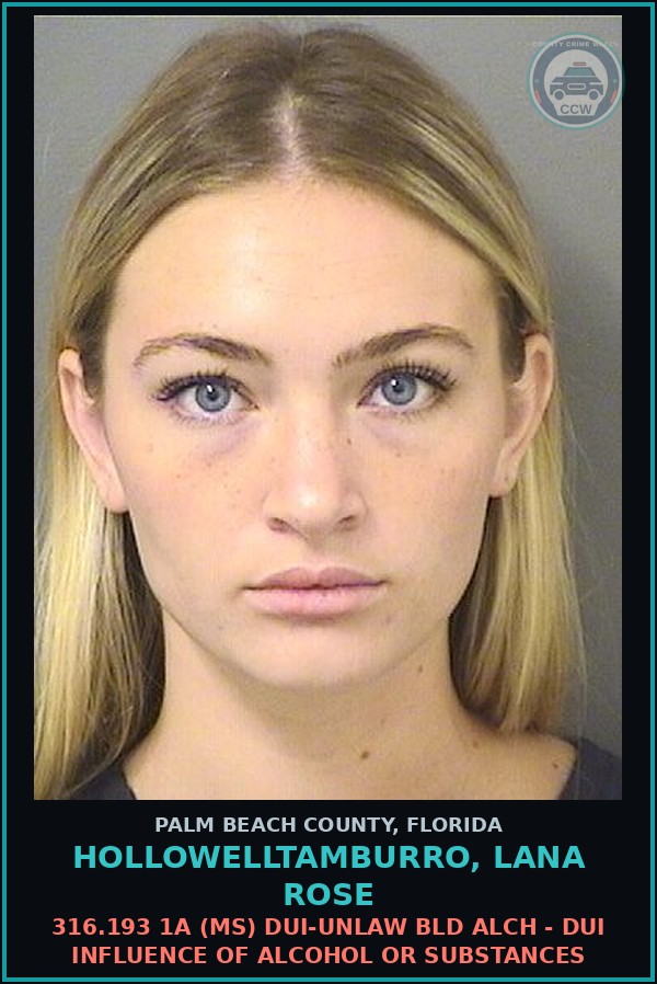 Booking mugshot of HOLLOWELLTAMBURRO, LANA ROSE in Palm Beach County