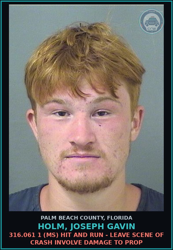Booking mugshot of HOLM, JOSEPH GAVIN in Palm Beach County
