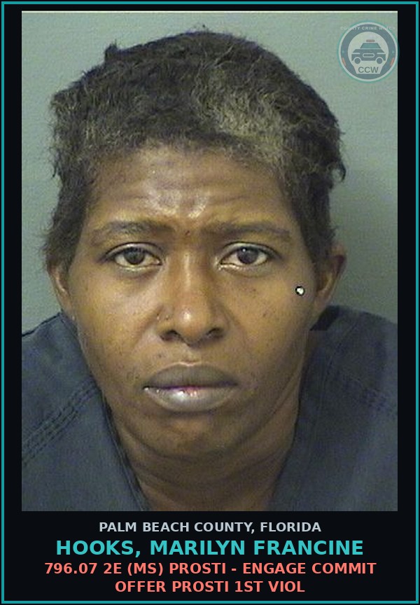 Booking mugshot of HOOKS, MARILYN FRANCINE in Palm Beach County