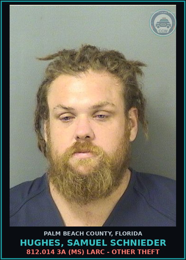 Booking mugshot of HUGHES, SAMUEL SCHNIEDER in Palm Beach County