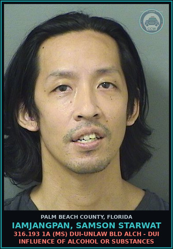 Booking mugshot of IAMJANGPAN, SAMSON STARWAT in Palm Beach County