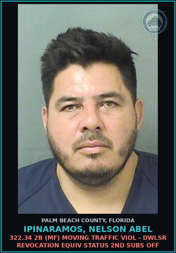 Booking mugshot of IPINARAMOS, NELSON ABEL in Palm Beach County