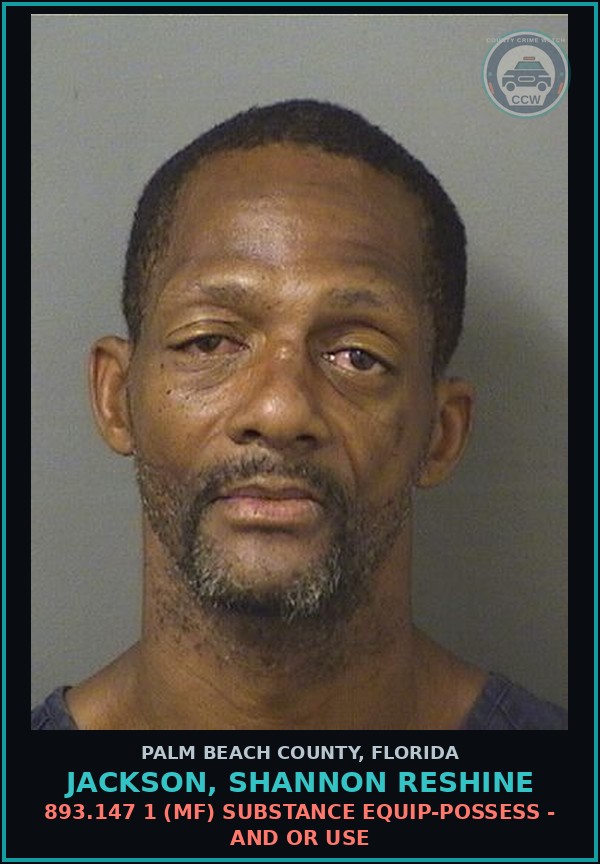 Booking mugshot of JACKSON, SHANNON RESHINE in Palm Beach County