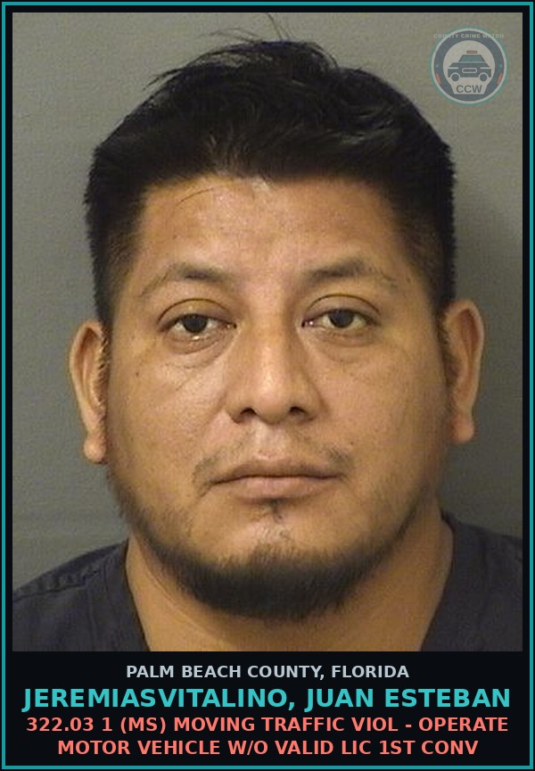 Booking mugshot of JEREMIASVITALINO, JUAN ESTEBAN in Palm Beach County