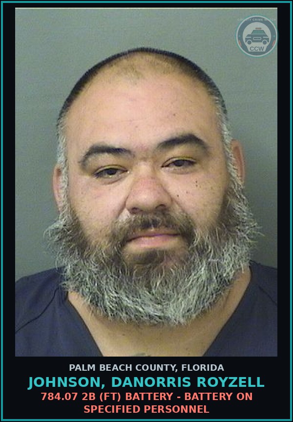 Booking mugshot of JOHNSON, DANORRIS ROYZELL in Palm Beach County