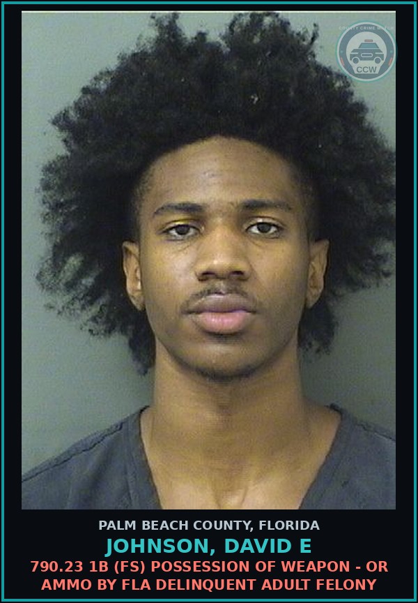 Booking mugshot of JOHNSON, DAVID E in Palm Beach County