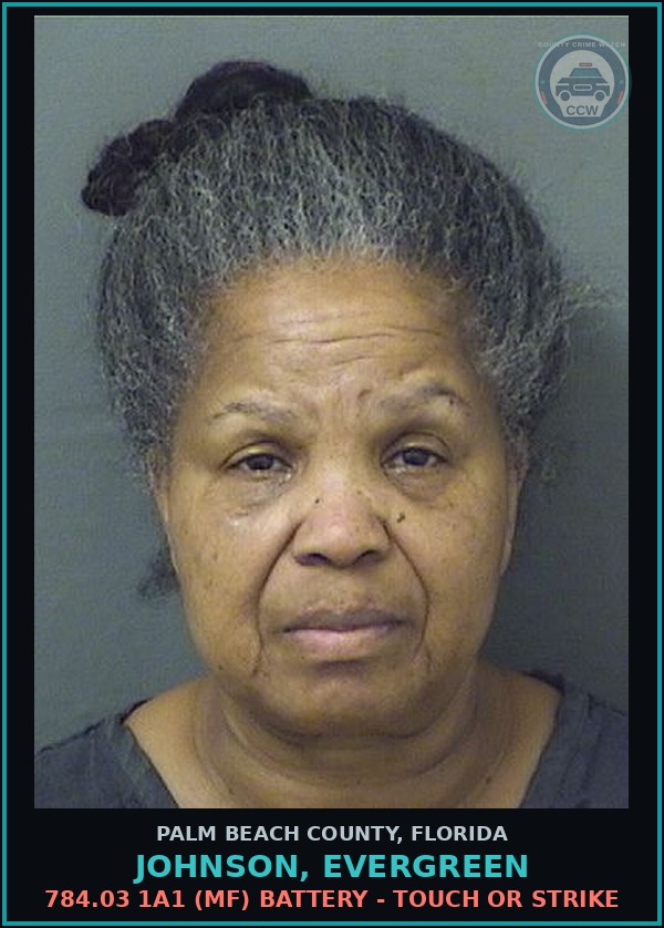Booking mugshot of JOHNSON, EVERGREEN in Palm Beach County