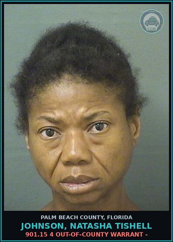 Booking mugshot of JOHNSON, NATASHA TISHELL in Palm Beach County
