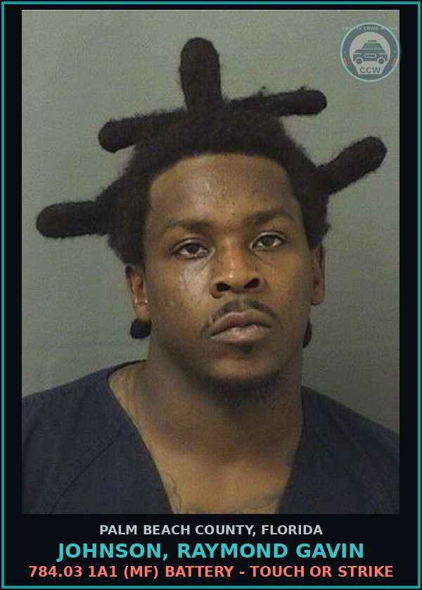 Booking mugshot of JOHNSON, RAYMOND GAVIN in Palm Beach County
