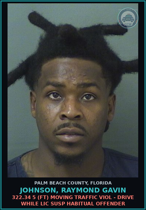 Booking mugshot of JOHNSON, RAYMOND GAVIN in Palm Beach County