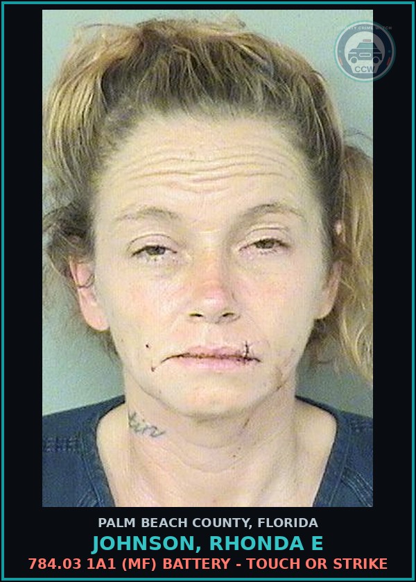 Booking mugshot of JOHNSON, RHONDA E in Palm Beach County