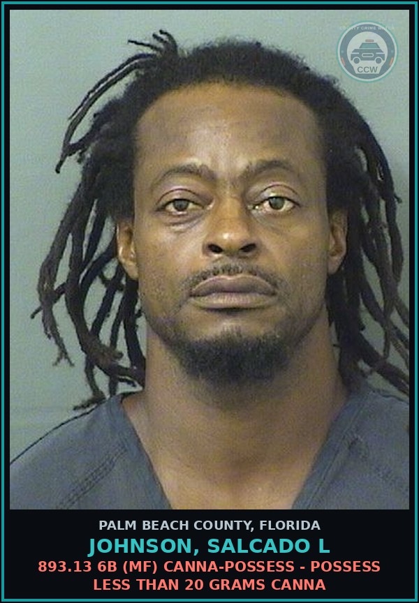 Booking mugshot of JOHNSON, SALCADO L in Palm Beach County