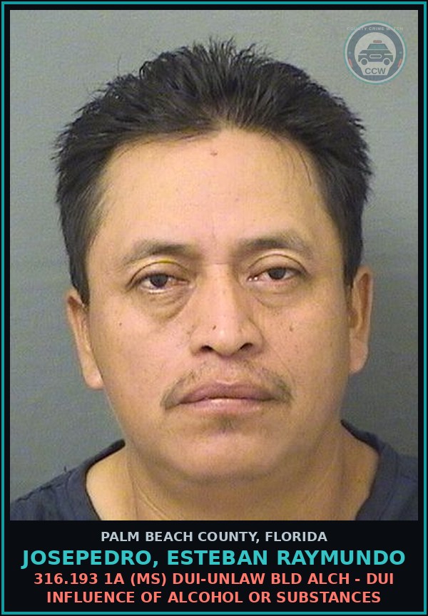 Booking mugshot of JOSEPEDRO, ESTEBAN RAYMUNDO in Palm Beach County