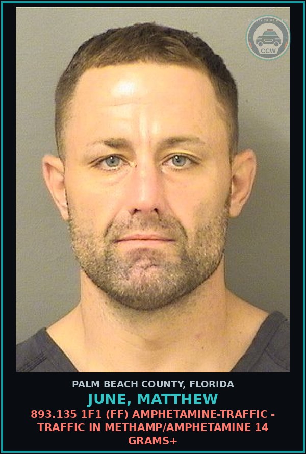 Booking mugshot of JUNE, MATTHEW in Palm Beach County